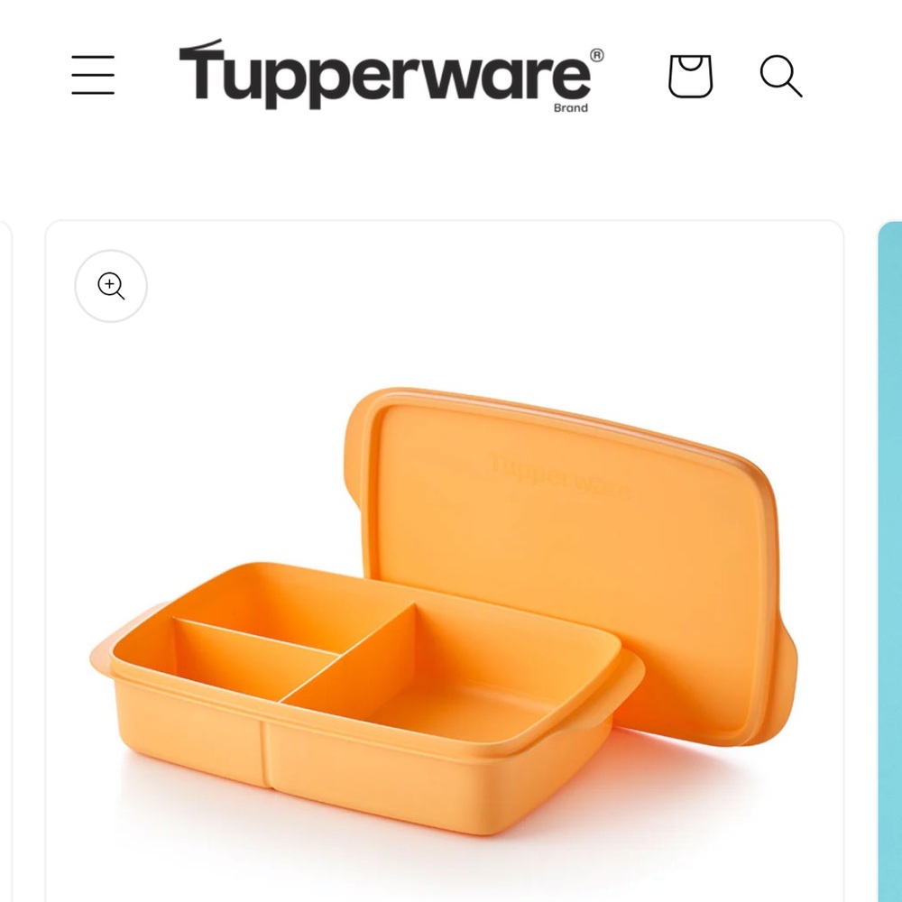 Tupperware Orange Lunch Box